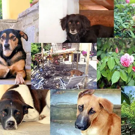 B&B Podere Cerreta *