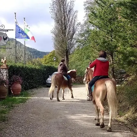 B&B Podere Cerreta San Godenzo